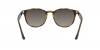 RB4259 Sunglasses