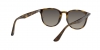 RB4259 Sunglasses