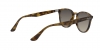 RB4259 Sunglasses