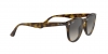 RB4259 Sunglasses