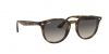 RB4259 Sunglasses