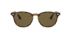 RB4259 Sunglasses