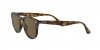 RB4259 Sunglasses