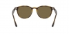 RB4259 Sunglasses
