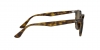 RB4259 Sunglasses