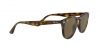 RB4259 Sunglasses
