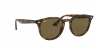RB4259 Sunglasses
