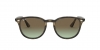 RB4259 Sunglasses