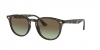 RB4259 Sunglasses