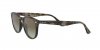 RB4259 Sunglasses
