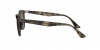 RB4259 Sunglasses