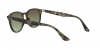 RB4259 Sunglasses