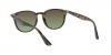 RB4259 Sunglasses