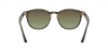 RB4259 Sunglasses