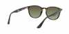 RB4259 Sunglasses