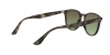 RB4259 Sunglasses