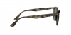 RB4259 Sunglasses