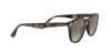 RB4259 Sunglasses