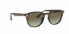 RB4259 Sunglasses
