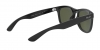RB4260D Sunglasses