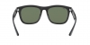 RB4260D Sunglasses