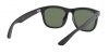 RB4260D Sunglasses