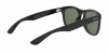 RB4260D Sunglasses