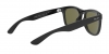 RB4260D Sunglasses