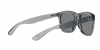 RB4260D Sunglasses