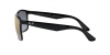 RB4264 Sunglasses