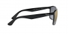 RB4264 Sunglasses