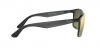 RB4264 Sunglasses
