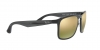 RB4264 Sunglasses