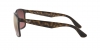 RB4264 Sunglasses