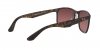 RB4264 Sunglasses