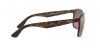 RB4264 Sunglasses