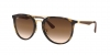 RB4264 Sunglasses