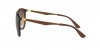 RB4264 Sunglasses