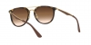 RB4264 Sunglasses