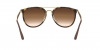 RB4264 Sunglasses