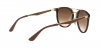 RB4264 Sunglasses