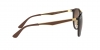 RB4264 Sunglasses
