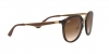 RB4264 Sunglasses