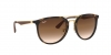 RB4264 Sunglasses