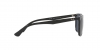 RB4288L Sunglasses