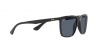 RB4288L Sunglasses