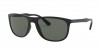 RB4291 Sunglasses