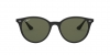 RB4305F Sunglasses