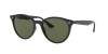 RB4305F Sunglasses