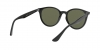 RB4305F Sunglasses